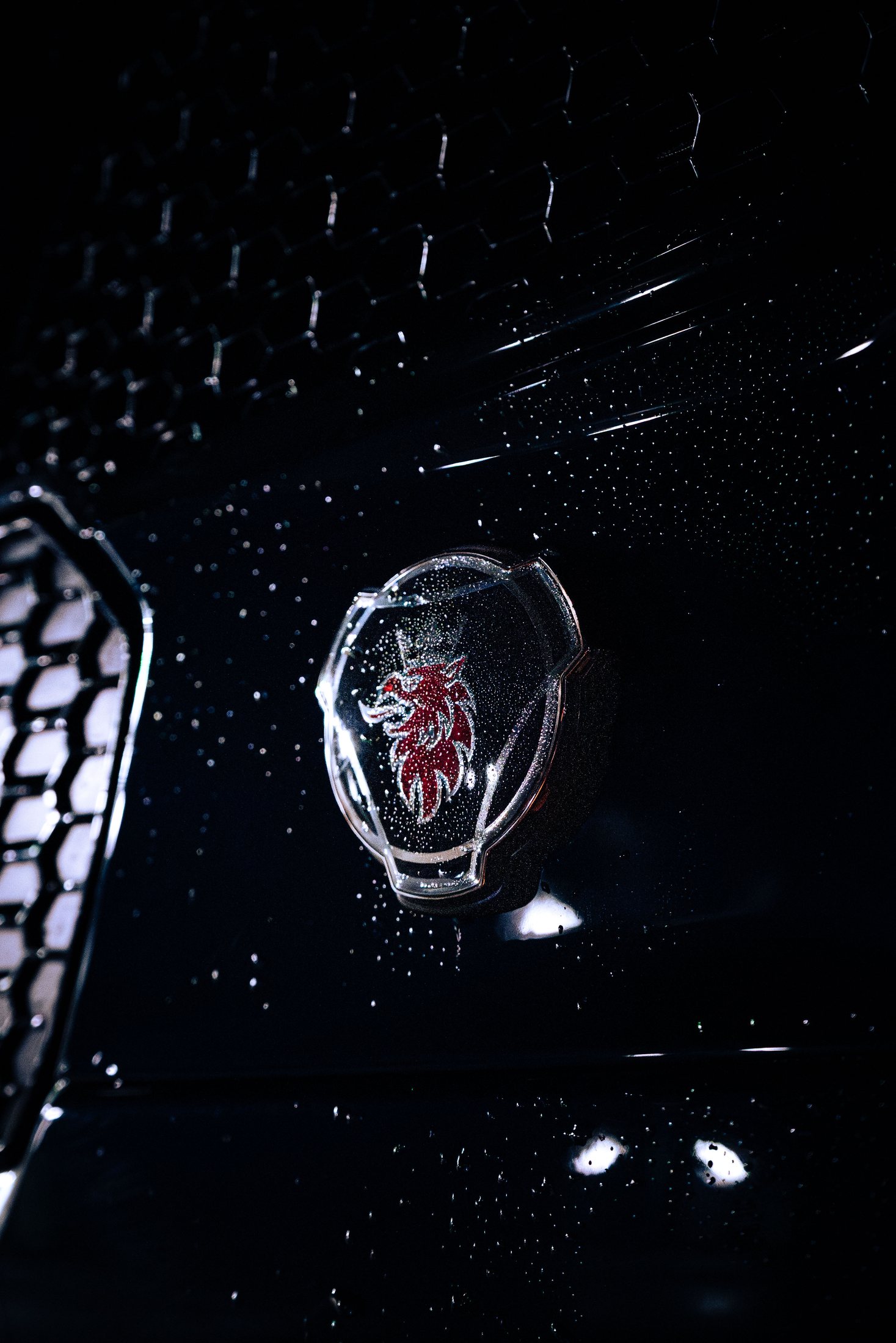 Scania rain